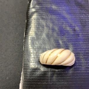 White Ring with 14kt yellow gold inlay.